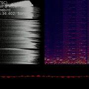David Dunn Aidan Bell Elite 128 NTSC Song 1 C64 SID