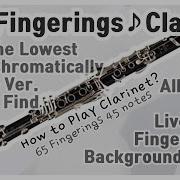 Clarinet All 65 Fingerings 45 Notes All In One Guide Chromatically ENG
