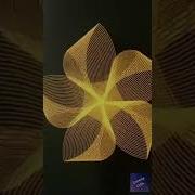 Python Turtle Animation Flower 2