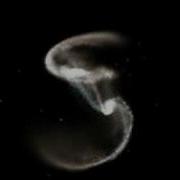 Galaxy Collisions Simulation Vs Observations