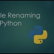 How To Rename Bulk Files Based On Their Extension Using Python