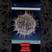 Basic Corona Structure Using Python Codewithharry Codewithpatil Reels Shots Python