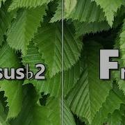 Csus B2 To Fm Backing Track