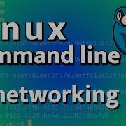 LCL 22 Basic Networking Linux Command Line Tutorial For Forensics