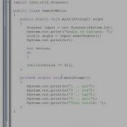 Основы Java цикл Do While