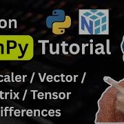 Урок по Python NumPy 11 Скаляр вектор матрица и тензор в NumPy