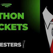 Python Socket Programming For Pentesters Create TCP Connections Reverse Shells