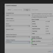 Openstack 2 Launch A Server Instance