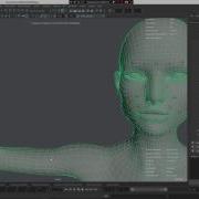 May9 Pro Enable Self Collision On Skinned Mesh