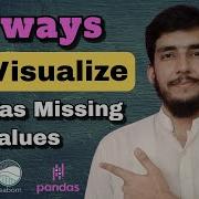 5 Ways To Visualize Missing Values In A Pandas DataFrame