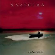 Anathema Flying Duduk Solo By Hasan Ceylan