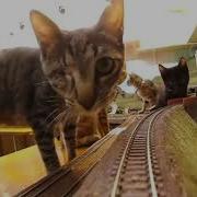 Do You Still Want To Ride This Train X It Will Be A Long Ride