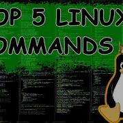 Top 5 Linux Commands