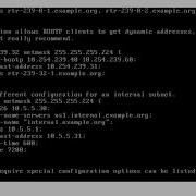 Loop Avoidance Nanda Linux DHCP Server