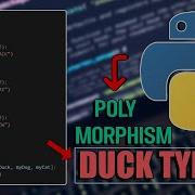 Duck Typing In Python Python OOP Polymorphism