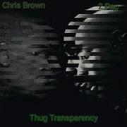 Chris Brown Feat 2 PAC Thug Transparency