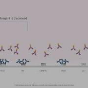 AliveDx MosaiQ AiPlex Microarray