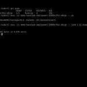Getting A Heap Dump From A Running Java App In Kubernetes