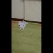 How To Build An AR App Using Google AR Core And Unity AR CORE Tutorial 8