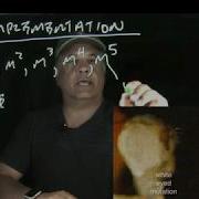 Complementation Tests An Important Genetic Tool