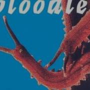 Bloodlet Eclectic New Age 1993