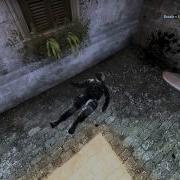 CS GO Droxie Dat Teamkill D