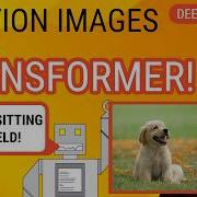 Создание подписей к изображениям с помощью Transformer с нуля Учебник по глубокому обучению PyTorch