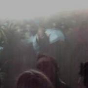 Circle Pit Despised Icon Hellfest 2009