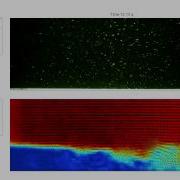 Backward Facing Step Flow Real Time Computing