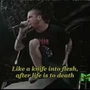 Pantera Live Mouth For War Live With Lyrics