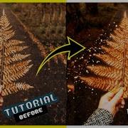 Glow Effect Tutorial Glowing Effect Krita Tutorial