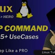 Mastering Linux GREP Command With 15 Practical Use Cases HINDI