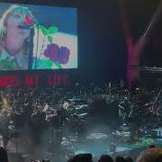 Portugal The Man Performing Dummy Live At Red Rocks Amphitheater 2023