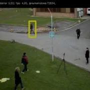 Pets View 001