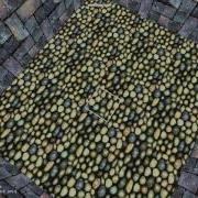 Sauerbraten Cube 2 Basic Game Editor Tutorial