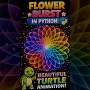 Flower Burst In Python Beautiful Turtle Graphics Animation Python Learnpython Coding Short