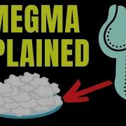 Doctor Explains SMEGMA Aka Build Up Of White Material Under The Penis Foreskin How To Clean It