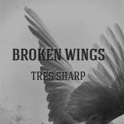 Broken Wings