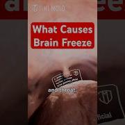 What Causes Brain Freeze