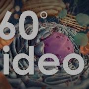 360 Guided Tour Of The Cell Demo