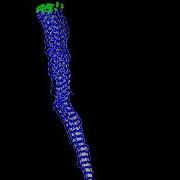 Evolving Virtual Creatures Reaching II