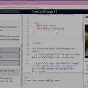 Learn Basic CSS Size Your Images FreeCodeCamp