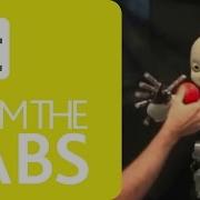 ICub Reaching Behavior