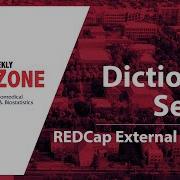 REDZone Dictionary Search