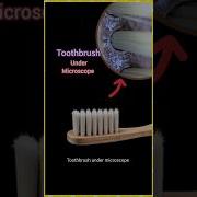 SHOCKING Toothbrush Under Microscope Shorts Toothbrush Zoom Oralhygiene
