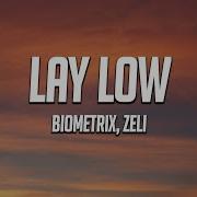 Biometrix Zeli Lay Low Lyrics