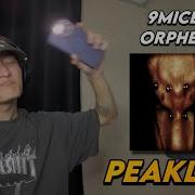 9MICE ORPHEUS РЕАКЦИЯ
