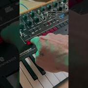 Monologue Sequencer Tip Korg Monologue Synth Analogsynth Moogaudio Shorts