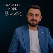 Day Welle Nabe