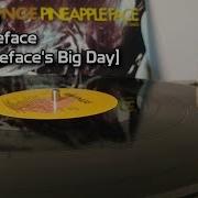 Revenge Pineappleface Pineappleface S Big Day 1990